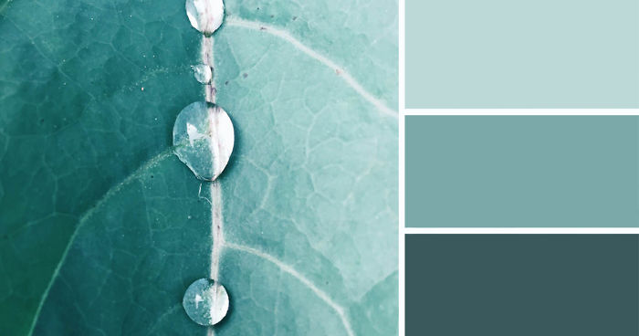 Nature-Inspired Color Palettes AKA Design Seeds For Designers, Crafters And Home Decorators