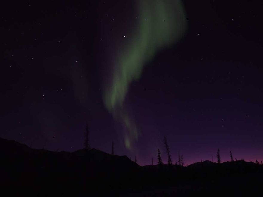 I Live In My Truck With My Dog And Travel Across The Country (Part 2) I Live In My Truck With My Dog And Travel Across The Country (Part 2)