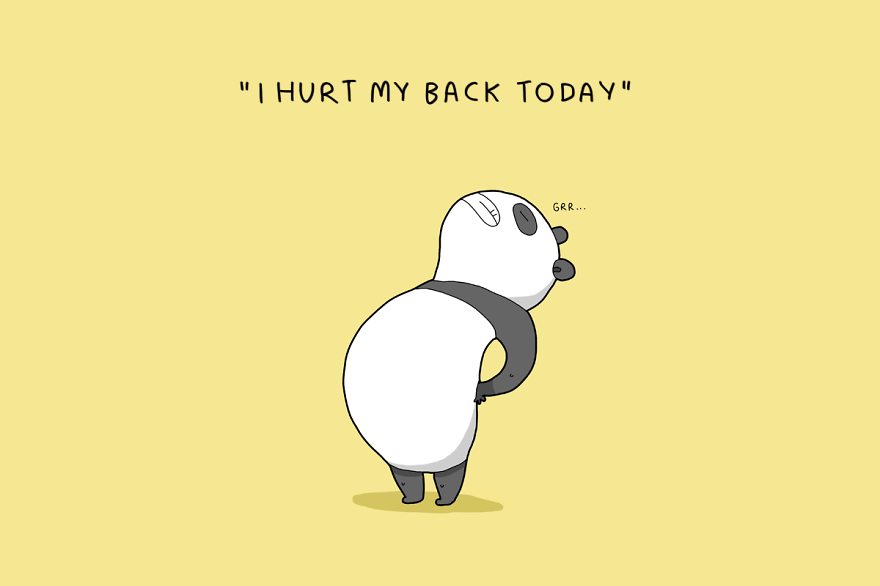 12 Excuses Pandas Give Not To Have Sex 12 Excuses Pandas Give Not To Have Sex