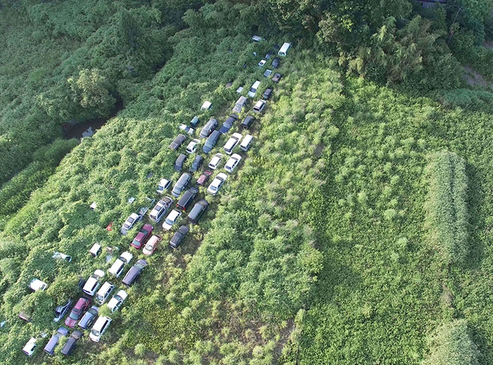 Never-Before-Seen Images Reveal How The Fukushima Exclusion Zone Was Swallowed By Nature