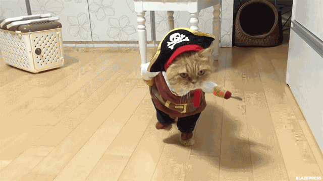27 Furry Halloween Ideas To Make You Smile [in Gifs]