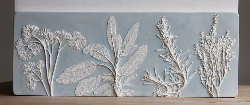 plaster-cast-flower-fossils-rachel-dein-20
