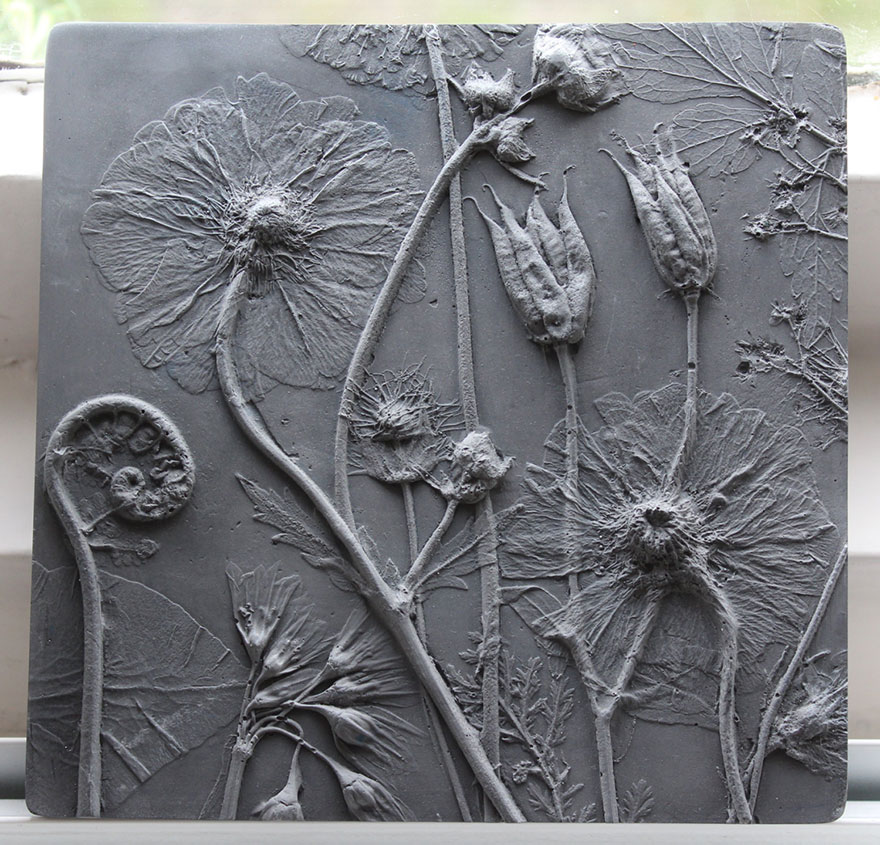 plaster-cast-flower-fossils-rachel-dein-39 plaster-cast-flower-fossils-rachel-dein-39