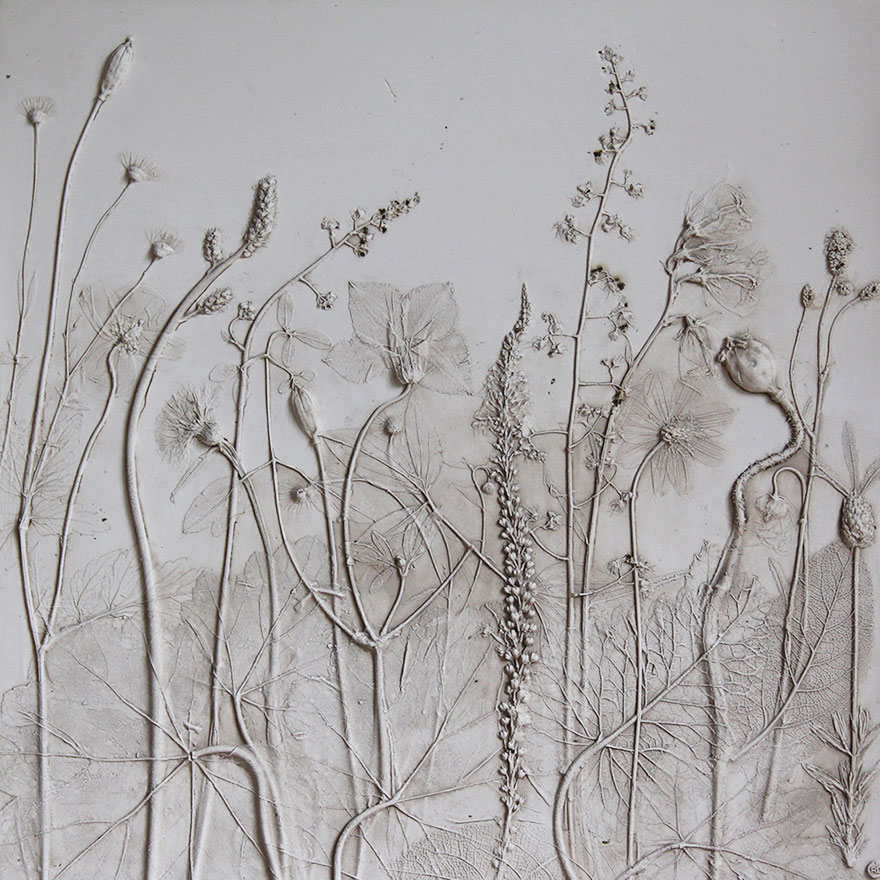 plaster-cast-flower-fossils-rachel-dein-4