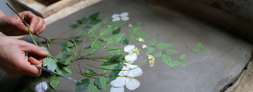 plaster-cast-flower-fossils-rachel-dein-56 plaster-cast-flower-fossils-rachel-dein-56