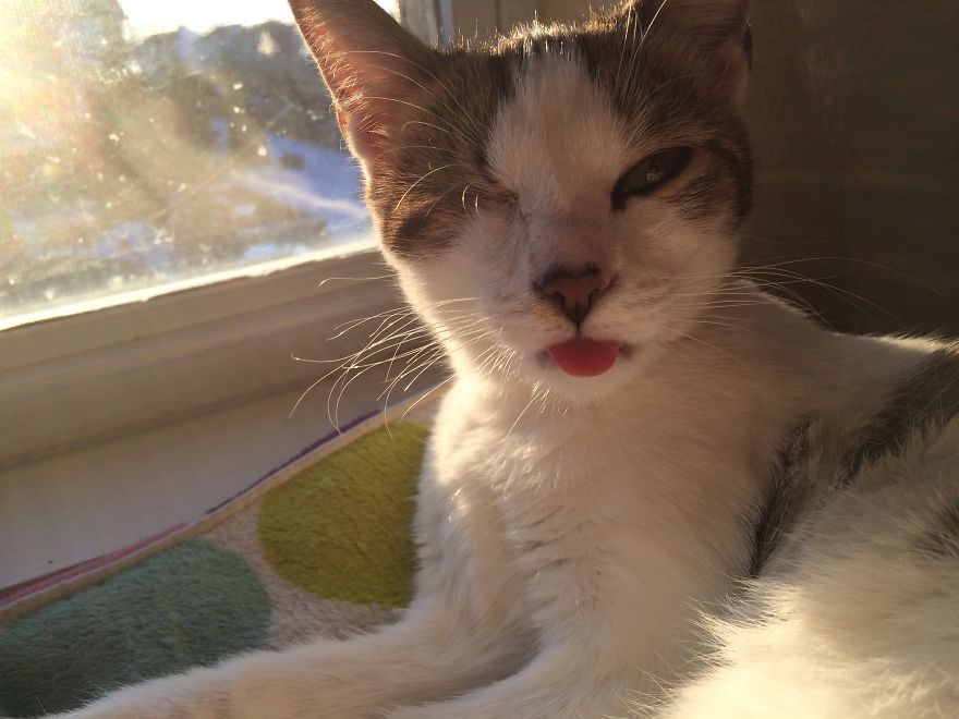 Poppy Doesn't Know She's Supposed To Have Two Eyes