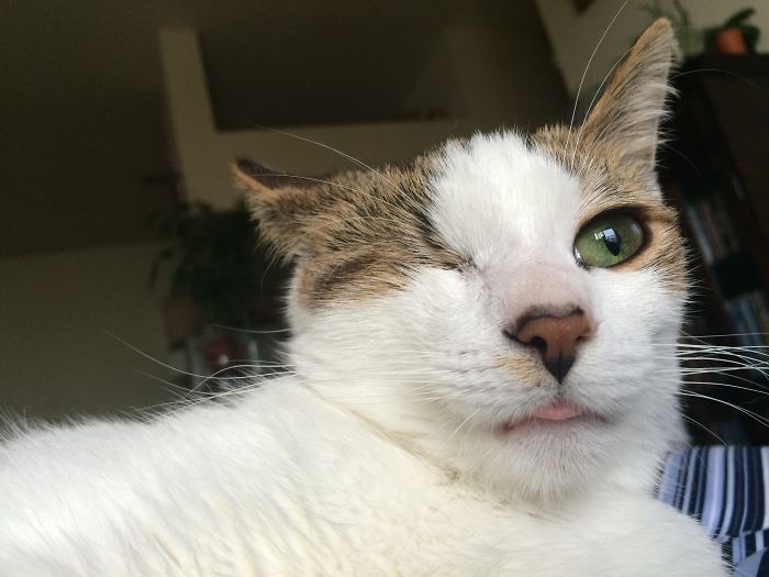 Poppy Doesn’t Know She’s Supposed To Have Two Eyes