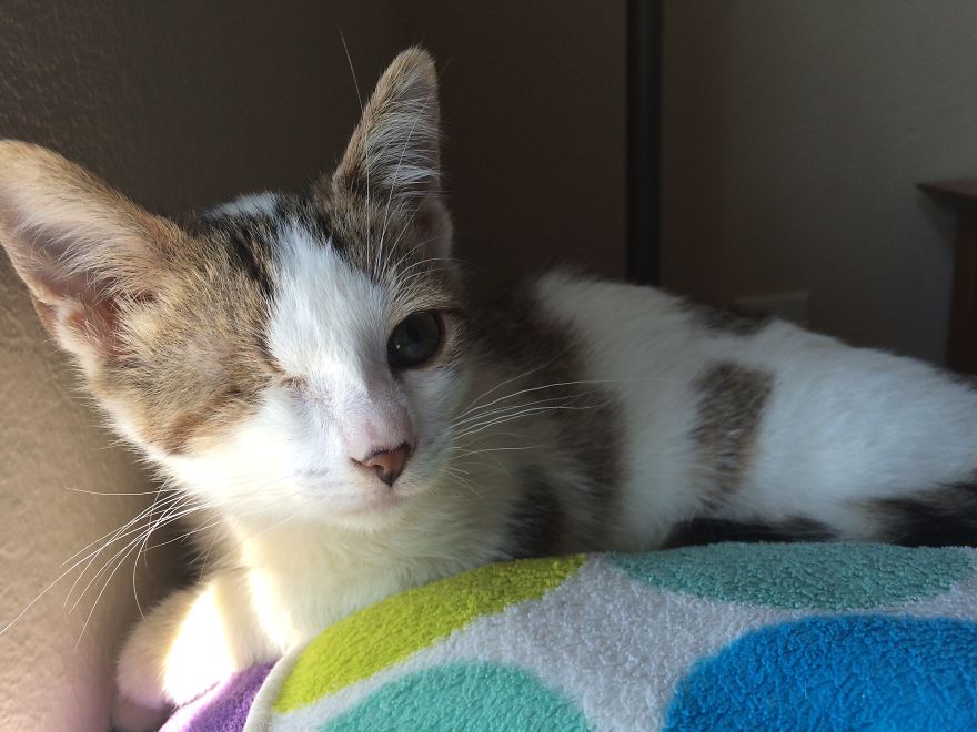 Poppy Doesn't Know She's Supposed To Have Two Eyes