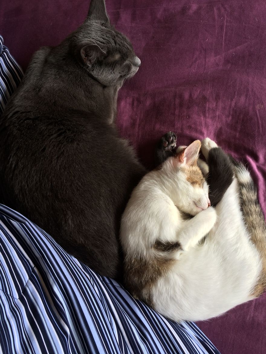 Poppy Doesn't Know She's Supposed To Have Two Eyes