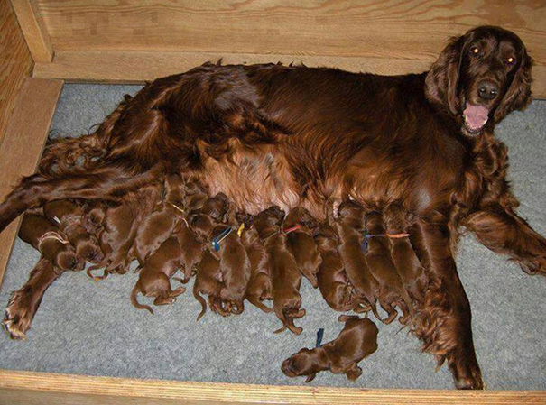 Proud Mommy