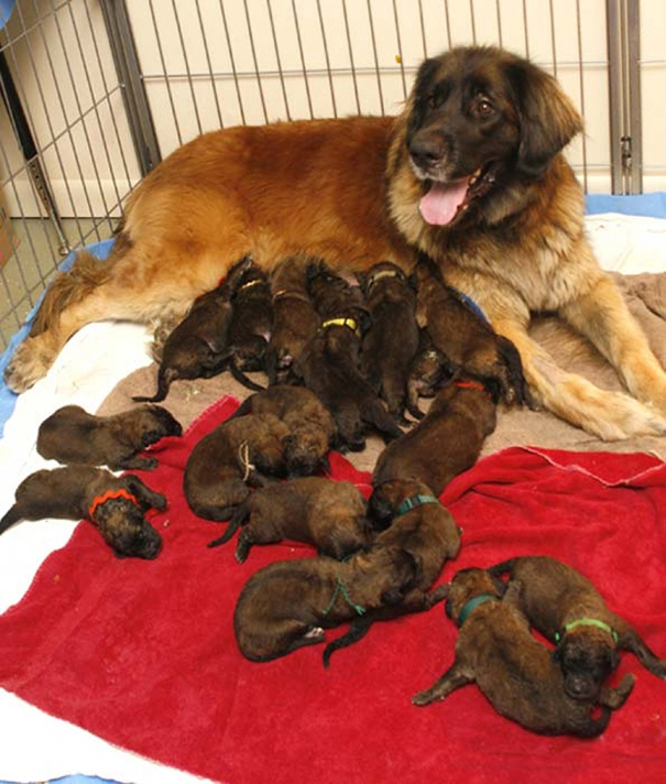 Proud Mommy