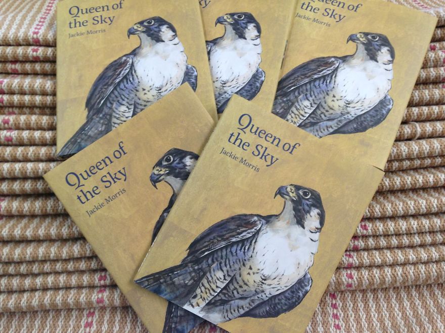 Queen Of The Sky: My Friend Saved A Wounded Falcon And Let Her Fly Free Queen Of The Sky: My Friend Saved A Wounded Falcon And Let Her Fly Free