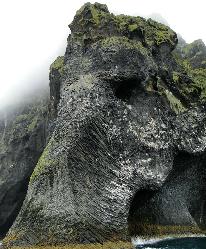 Giant Sea Elephant Emerges From The Ocean In Iceland