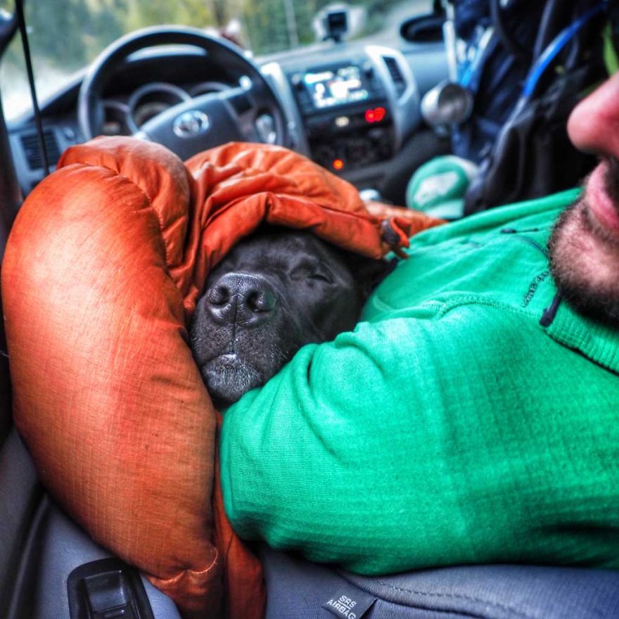 I Live In My Truck With My Dog And Travel Across The Country (Part 2) I Live In My Truck With My Dog And Travel Across The Country (Part 2)