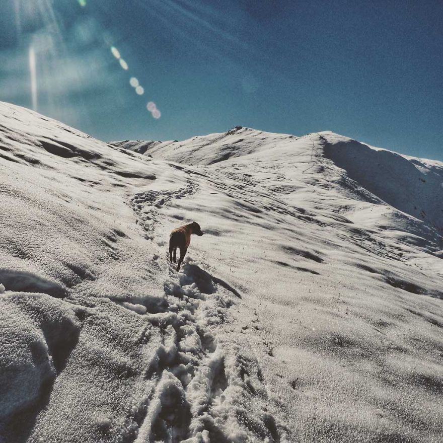 I Live In My Truck With My Dog And Travel Across The Country (Part 2) I Live In My Truck With My Dog And Travel Across The Country (Part 2)