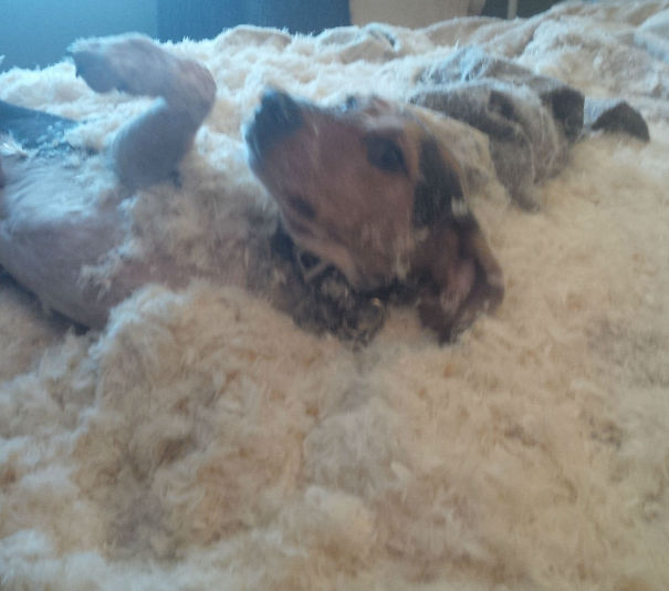 Sookie Want To Be A Duck!