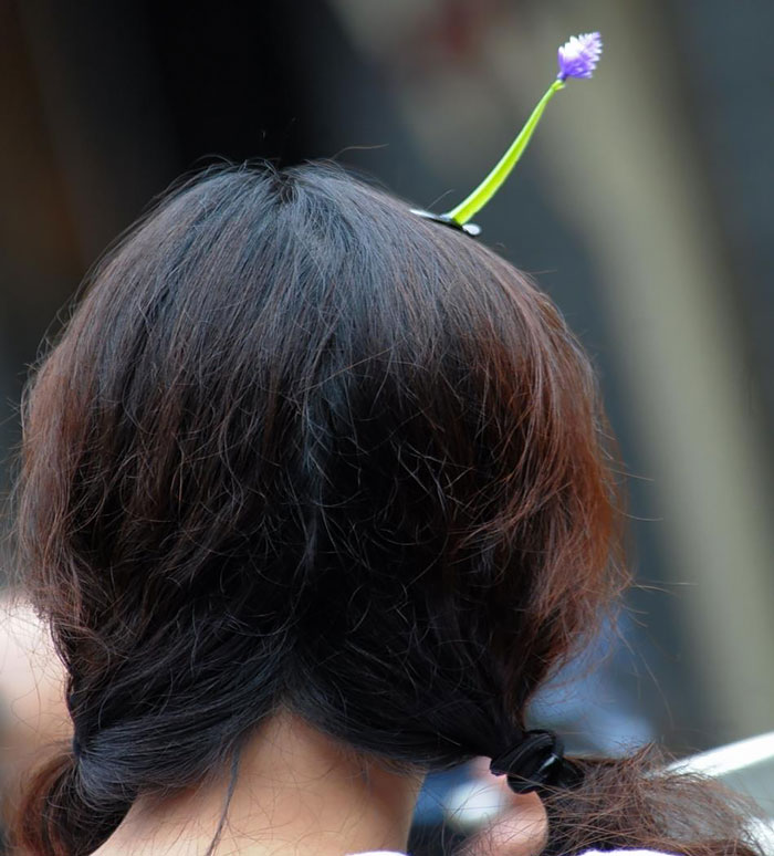 Sprout Hair Pins Are The Latest Trend In China