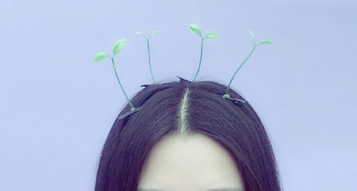 Sprout Hair Pins Are The Latest Trend In China