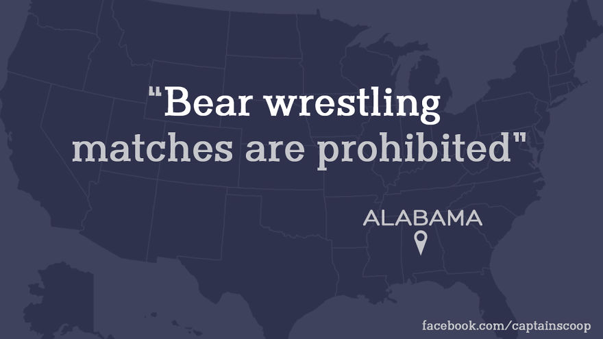 Map of the U.S. highlighting a strange law in Alabama about bear wrestling, illustrating the most stupid laws in the U.S.