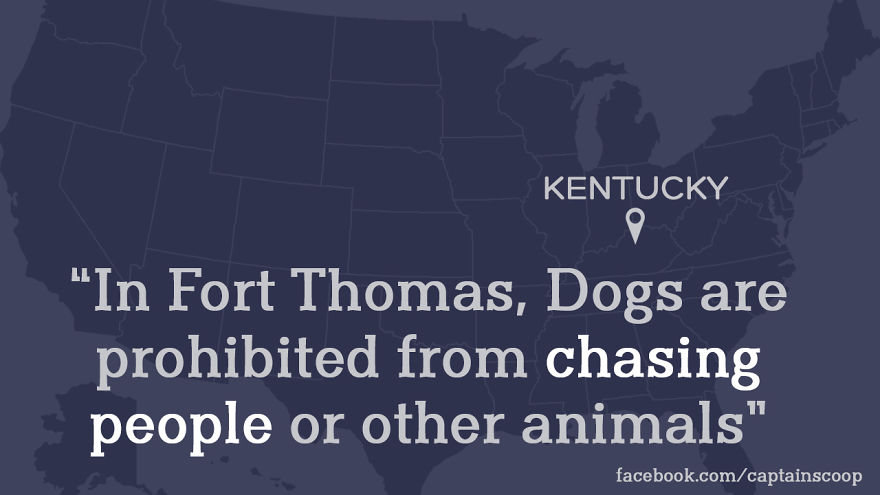 Map of Kentucky highlighting a strange law where dogs are prohibited from chasing people or other animals.