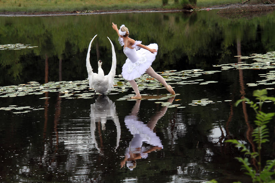 The Making Of 'Swan Lake,' My Wet Plate Collodion Photo