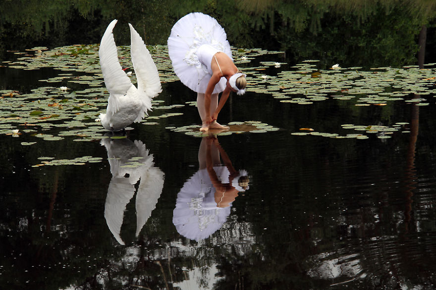 The Making Of 'Swan Lake,' My Wet Plate Collodion Photo