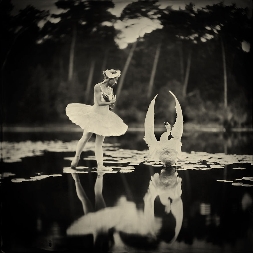 The Making Of 'Swan Lake,' My Wet Plate Collodion Photo