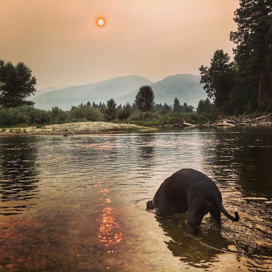 truck-travel-with-dog-dwayne-parton-alaska-2 truck-travel-with-dog-dwayne-parton-alaska-2