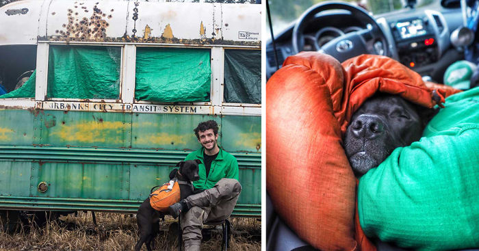 I Live In My Truck With My Dog And Travel Across The Country (Part 2)