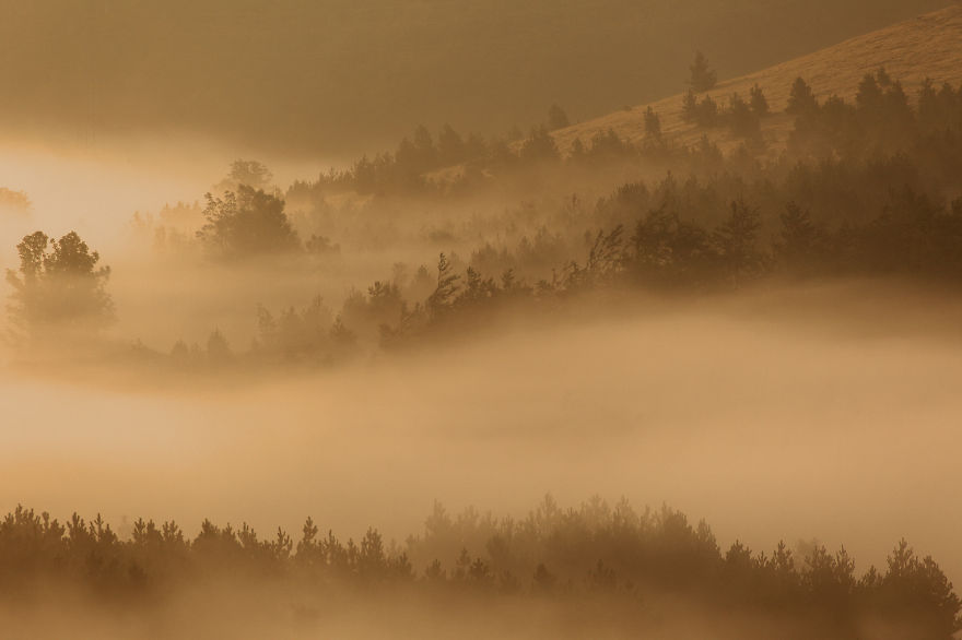 Going To Holidays In Croatia? Discover The Incredible Nature!