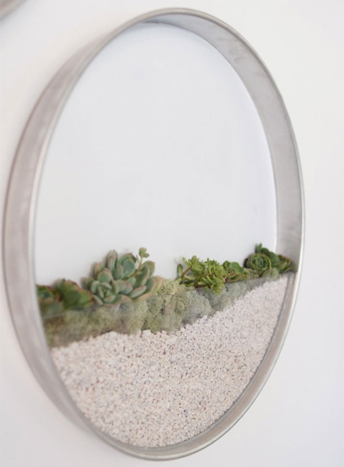 vertical-garden-air-plants-kim-fisher-1