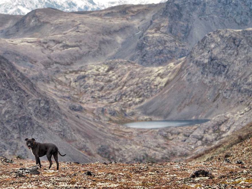 I Live In My Truck With My Dog And Travel Across The Country (Part 2) I Live In My Truck With My Dog And Travel Across The Country (Part 2)