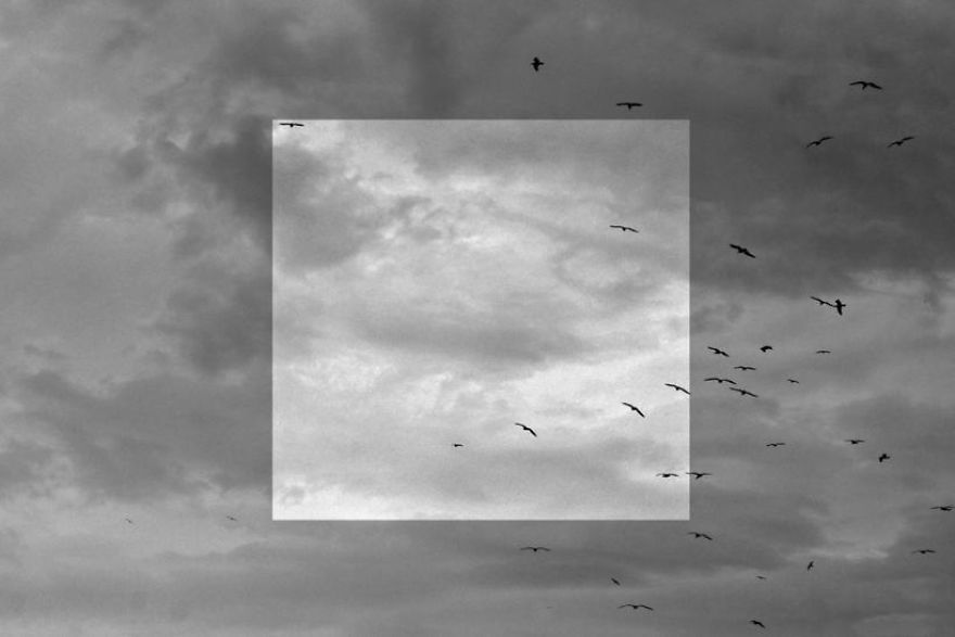 Window Series: I Capture Alternative Realities