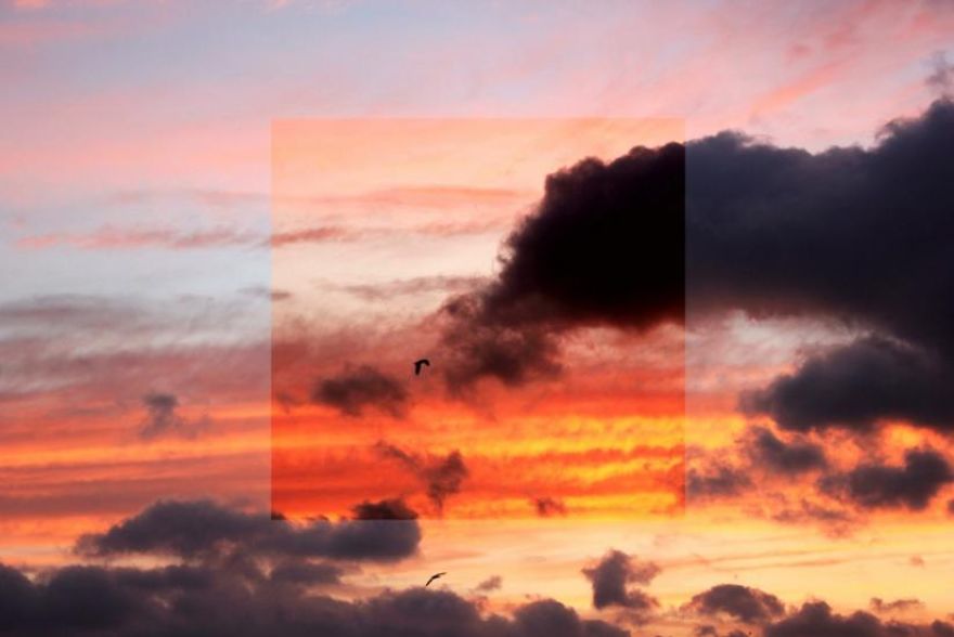 Window Series: I Capture Alternative Realities