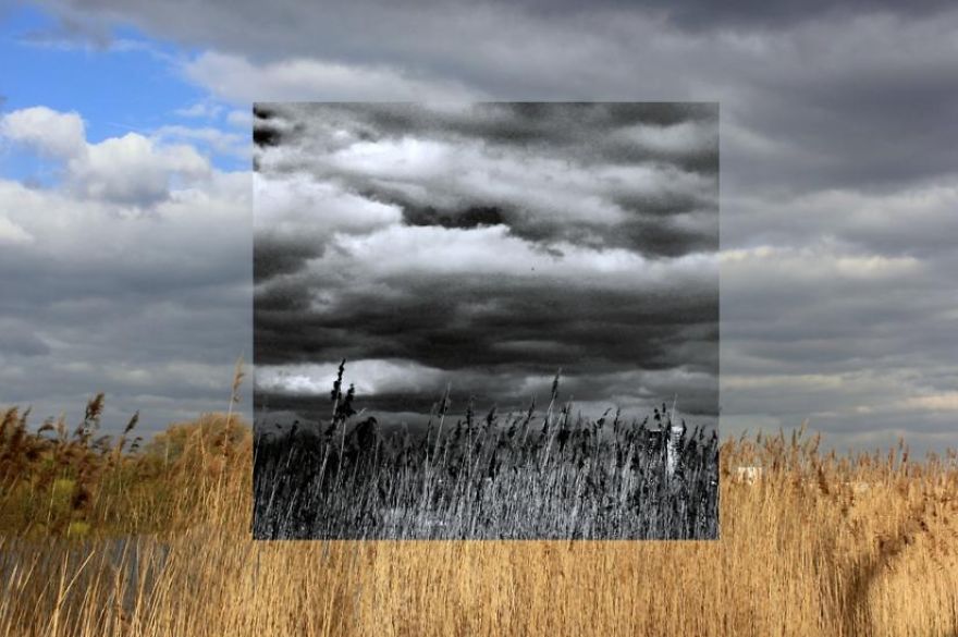 Window Series: I Capture Alternative Realities