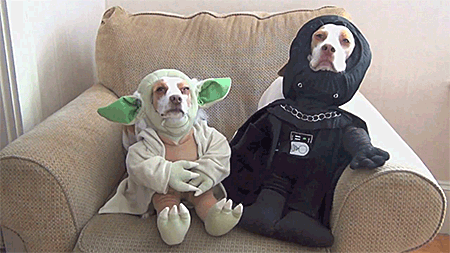 27 Furry Halloween Ideas To Make You Smile [in Gifs]