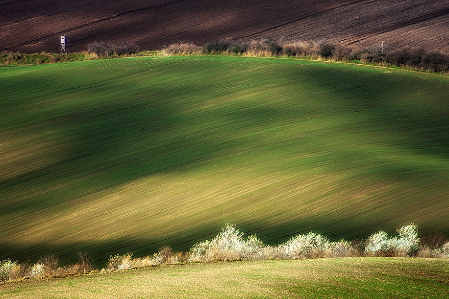 Hypnotizing Beauty Of Moravian Fields In The Czech Republic