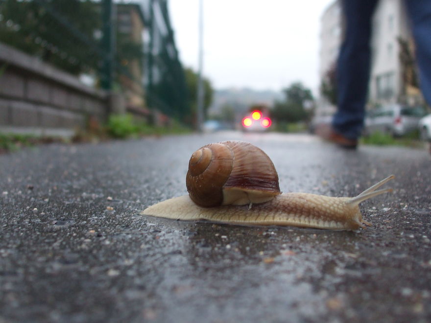 Dangerous Crossing 01