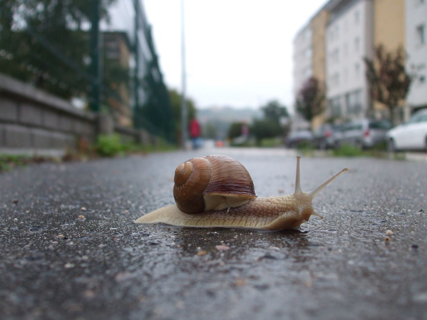 Dangerous Crossing 02