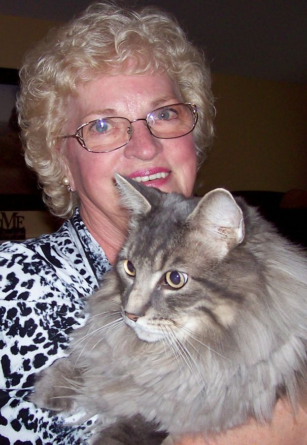 Woman holding a large Maine C**n cat with fluffy fur, showcasing giant kitties with soft, gentle character.