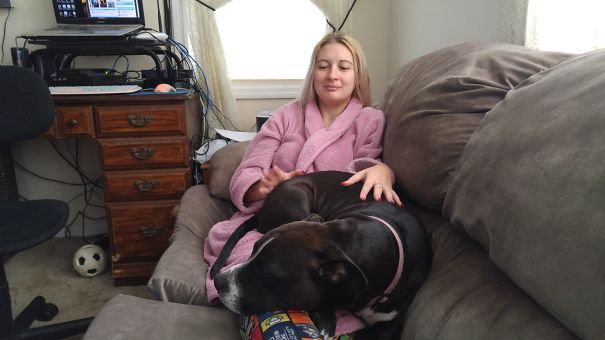 60lb Pit Thinks She's A Lap Dog