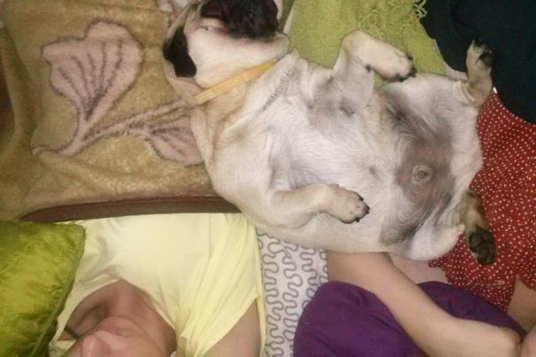 Cause I Need Both...