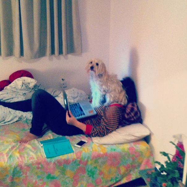 Pleased With Himself, As Always.