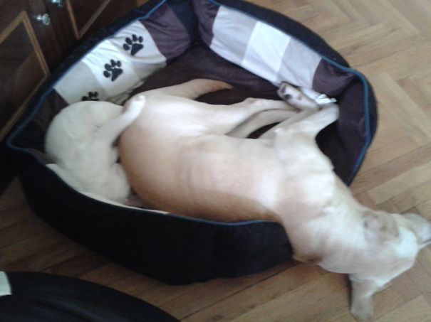 Too Small Bed For Us