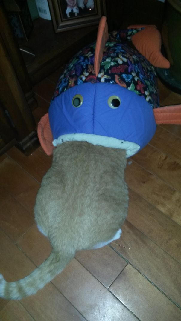 New Way To Noodle Catfish.