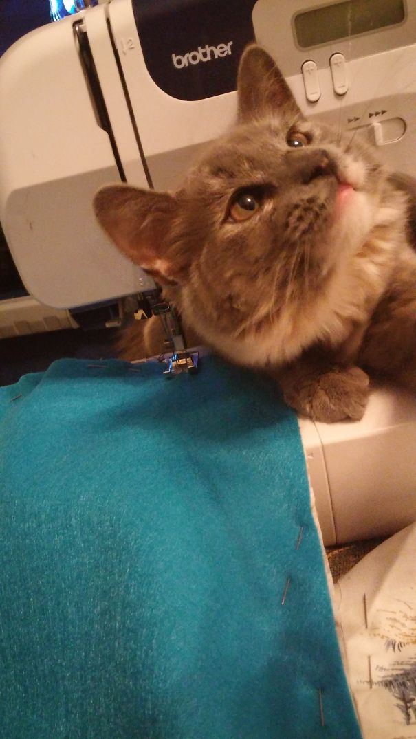 Marny Wont Let Me Work