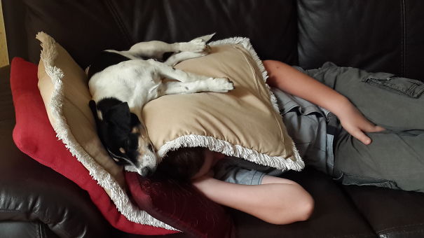 It Is Just The Best Spot.