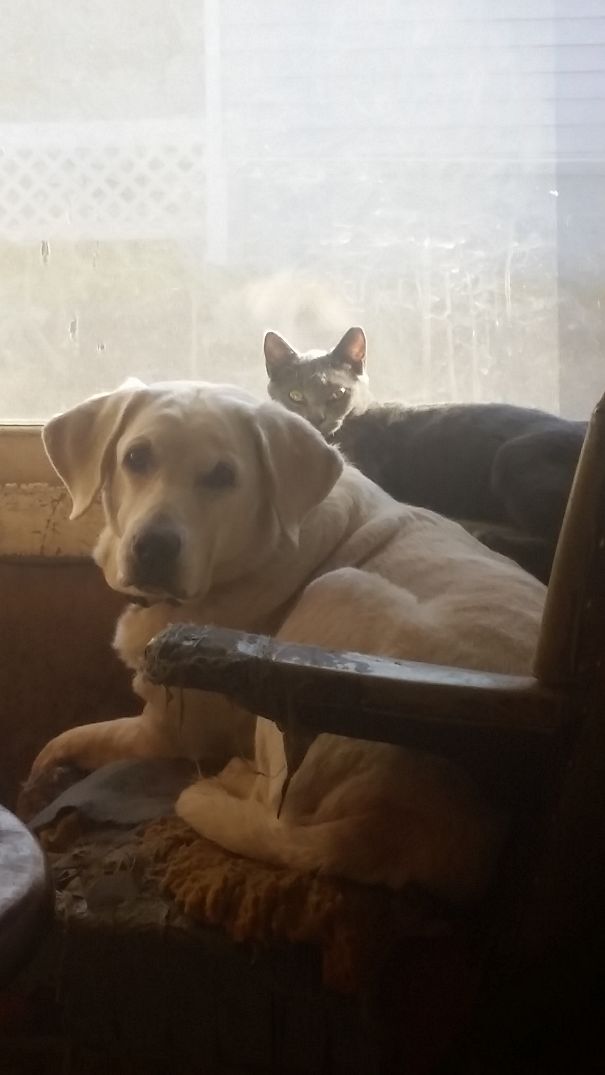 She Thinks The Dog Is Her Mama