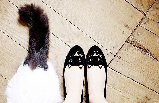 Cat Face Shoes