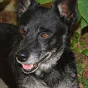 martin_cristine avatar